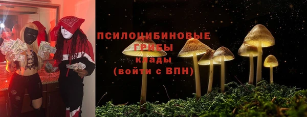 соль курить ск Арсеньев