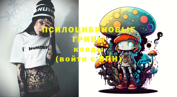 метадон Армянск