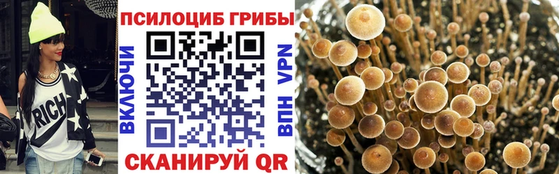 OMG   Теберда  Псилоцибиновые грибы GOLDEN TEACHER 